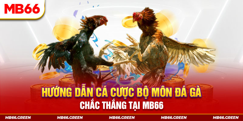 viva88net CQ9 Điện Tử