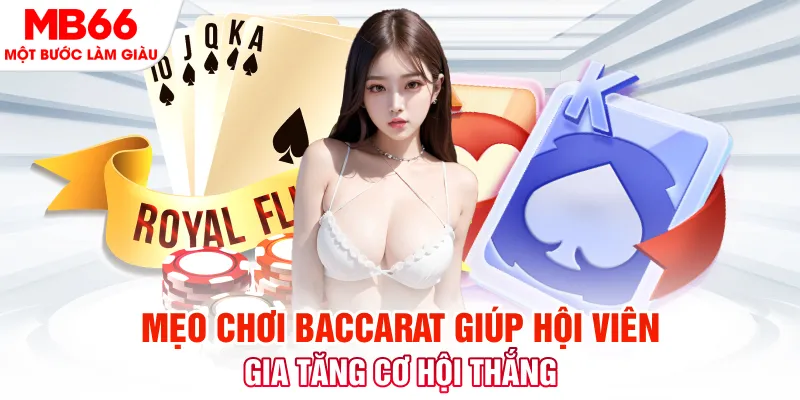 viva88net đá gà 88