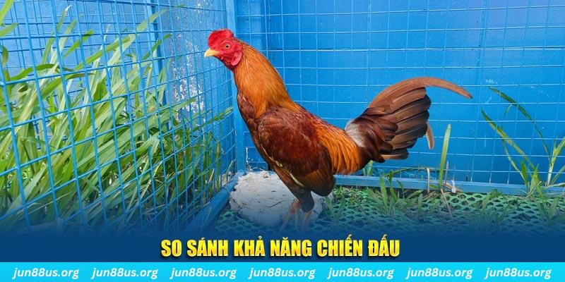 viva88net xổ số tiền giang