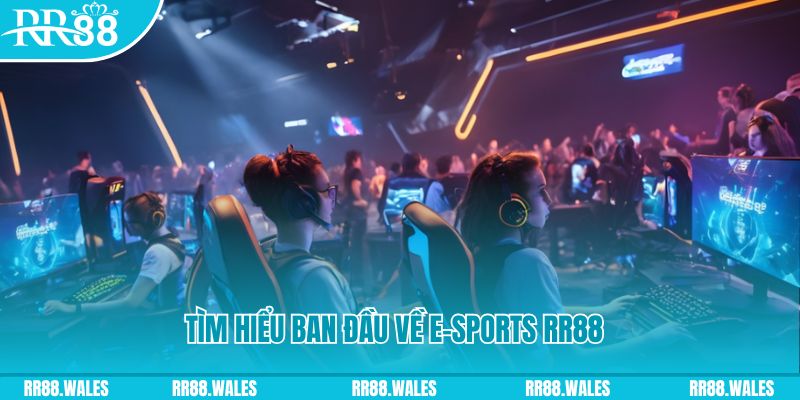 viva88net 8 bit khi nào nổ hũ