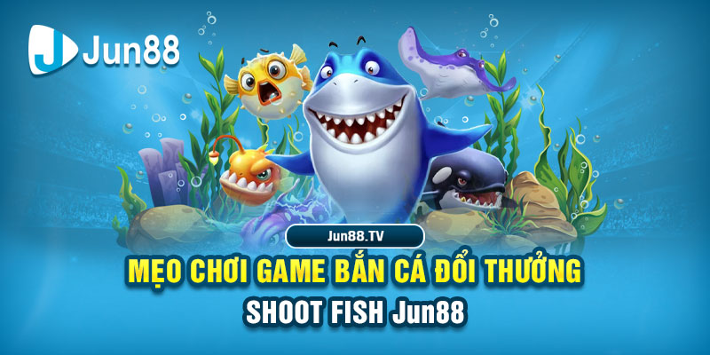 viva88net tai game danh bai bigkool ve may tinh