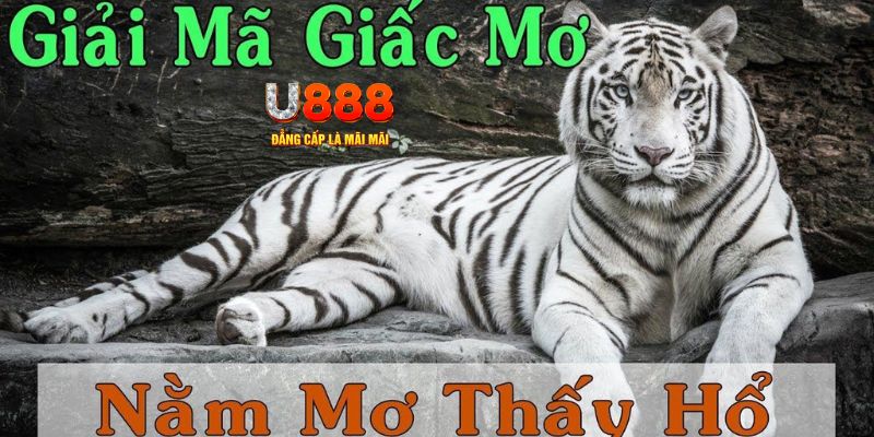 viva88net xổ số kiến thiết miền bắc
