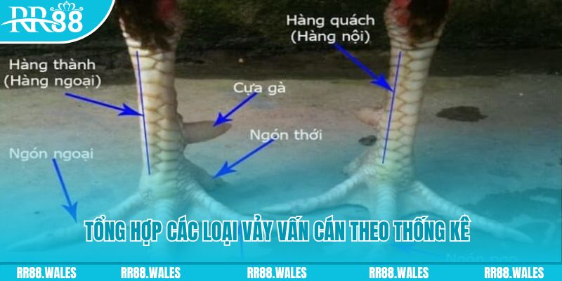 viva88net nổ hũ chơi như thế nào