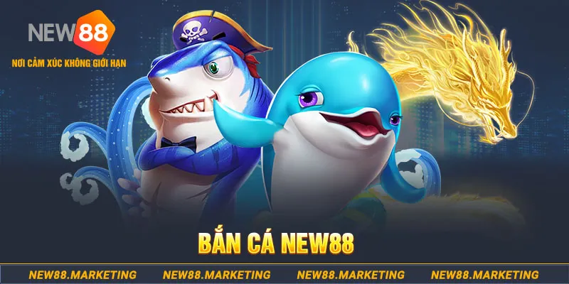 viva88net trong baccarat, ai là người chia bài chính？