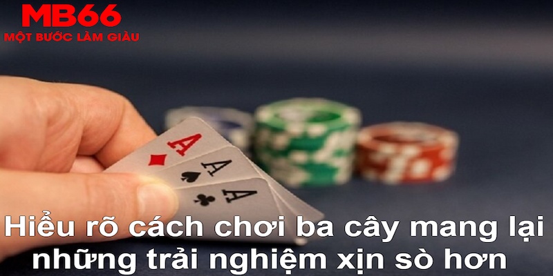 viva88net ÁT CHỦ BÀI GIÀNH LẤY ZHUANG NIUNIU ( XEM 3 LÁ )