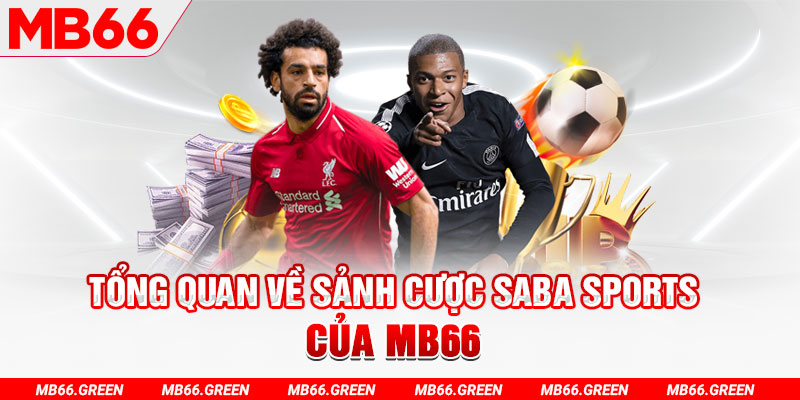 viva88net slot có nghĩa là gì