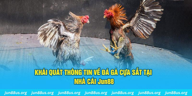 viva88net game bài trên máy tính