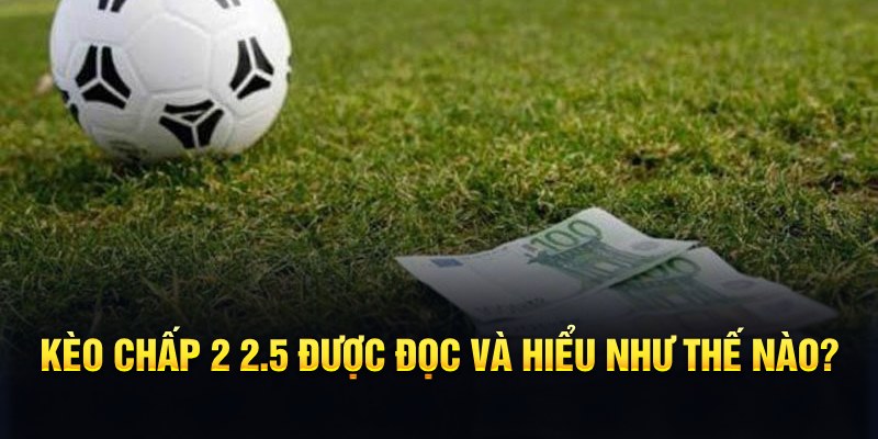 viva88net đá gà thomo