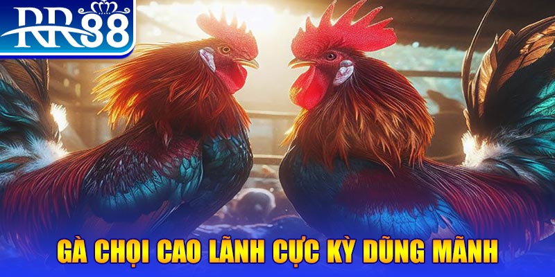 viva88net natural” trong baccarat nghĩa là gì？