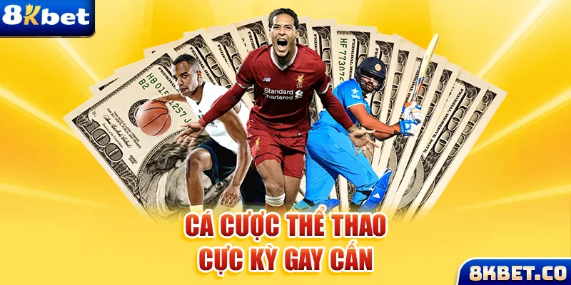 viva88net Bữa tiệc dành cho thanh thiếu niên